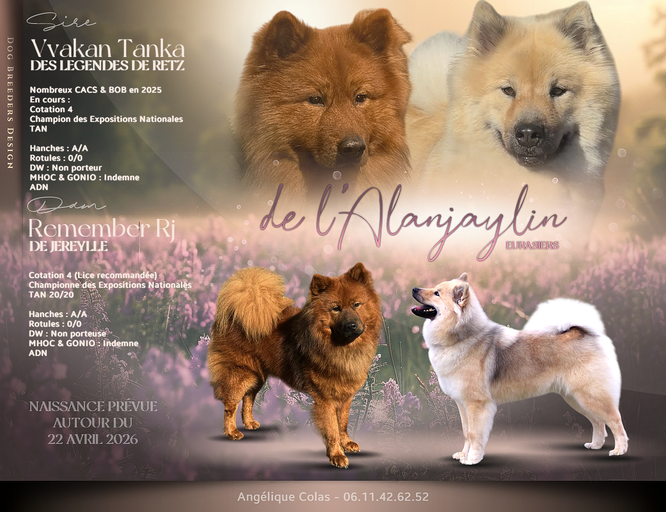 Confirmation de l arrivée des bébés ❤ 